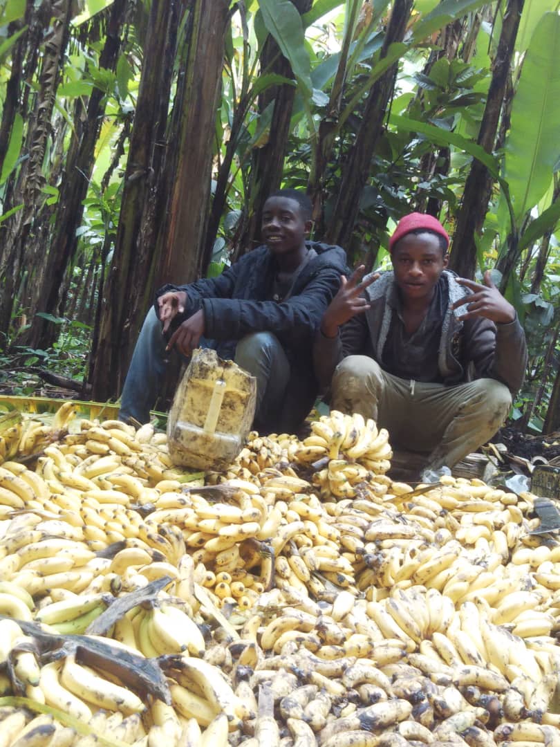 Image illustrating youth empowerment